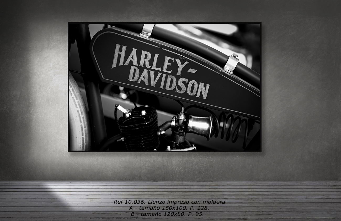 Página Principal 01